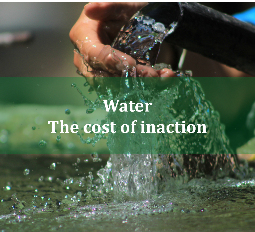 Water the cost of inaction